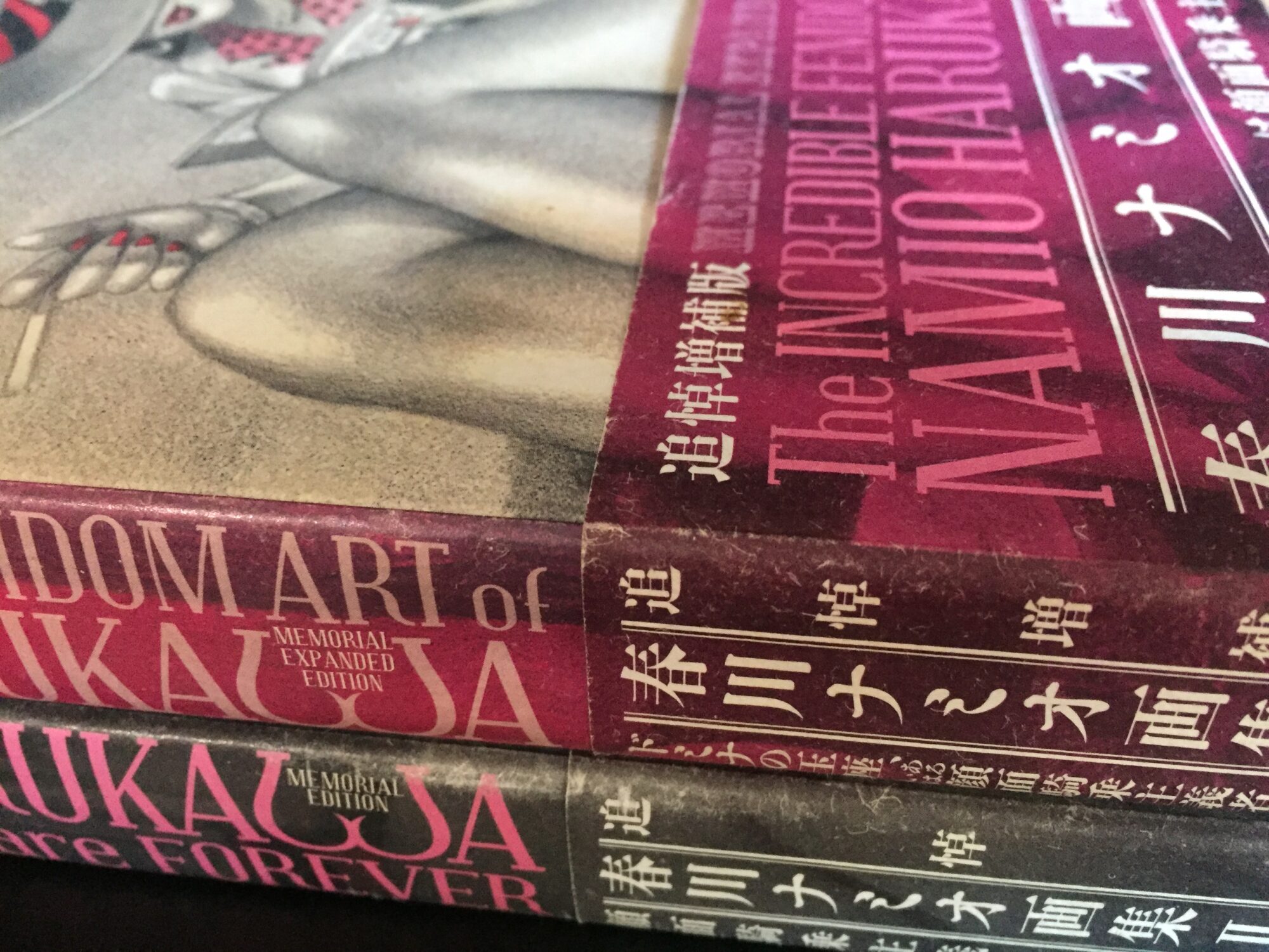 Namio Harukawa Memorial Expanded Edition ‘The Incredible Femdom Art of Namio Harukawa’ og Memorial Edition ‘Facesittings are Forever’ udgivet af Editions Treville Co., Ltd. All Rights Reserved. Courtesy of Editions Treville Co., Ltd. (Mit foto).